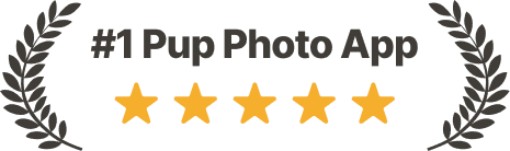 #1 Pup Photo App