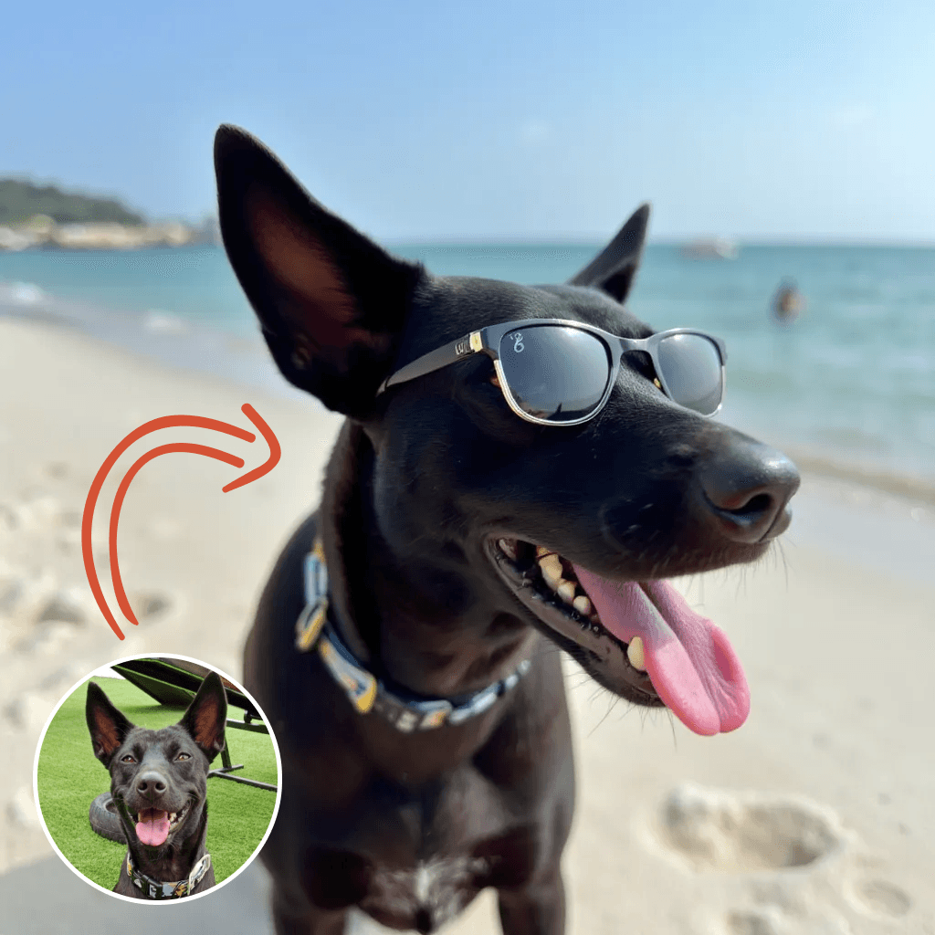 PupBooth Hero Image